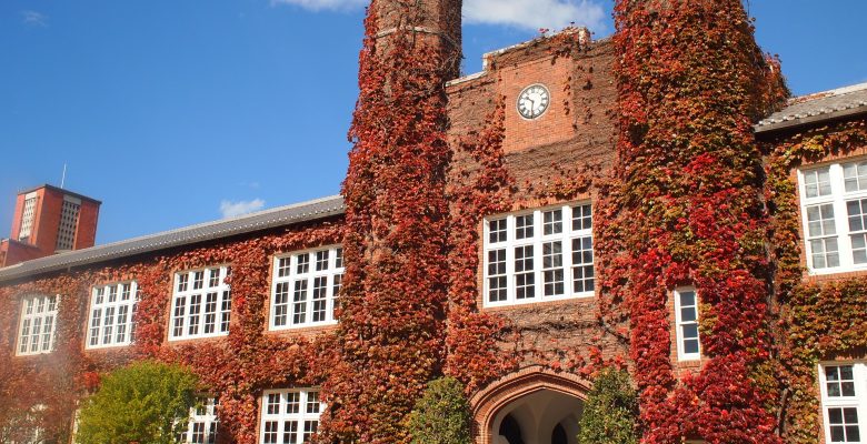 The University